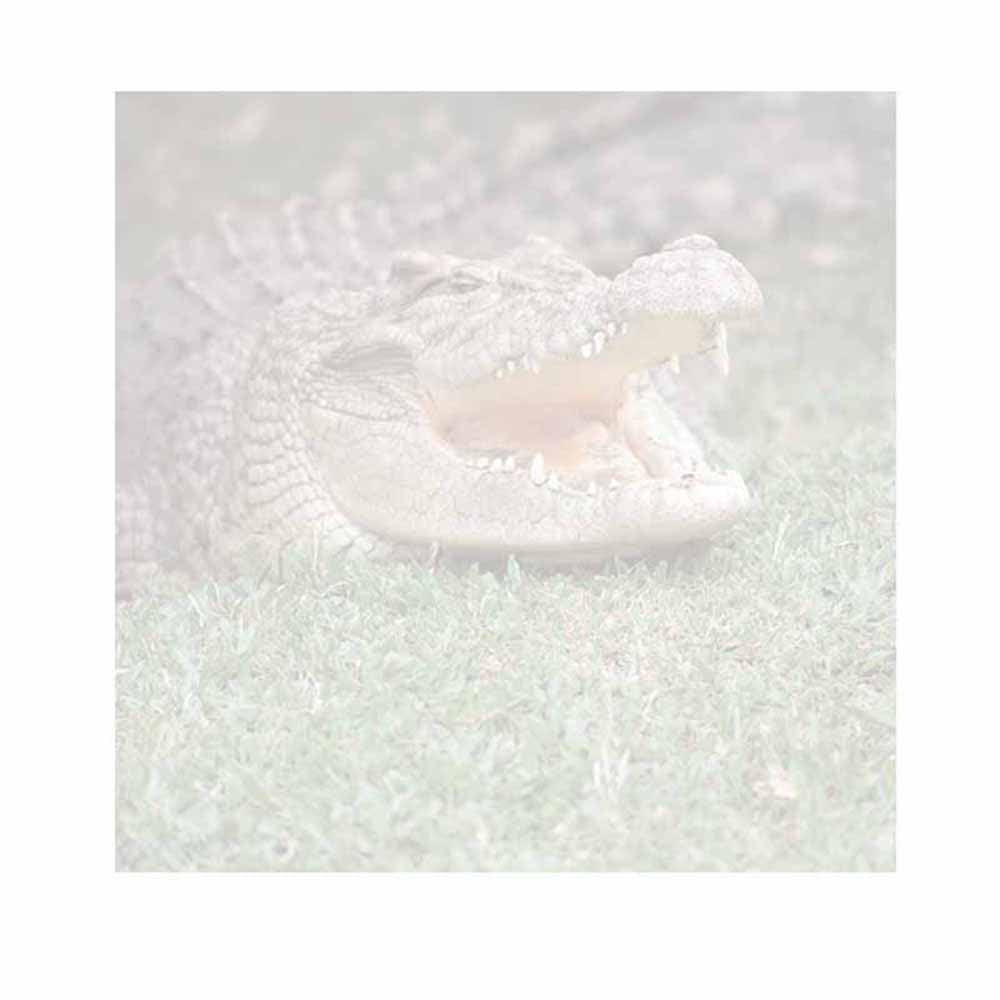 Alligator Sticky Notes