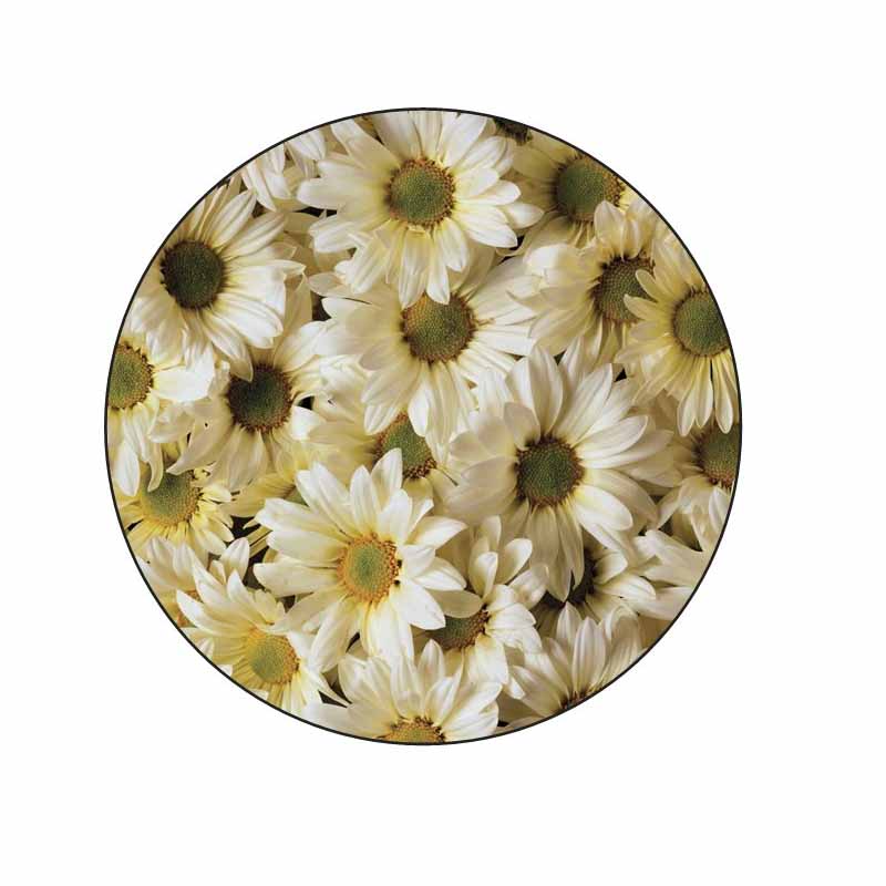 Daisies Stickers – Stationery Creations