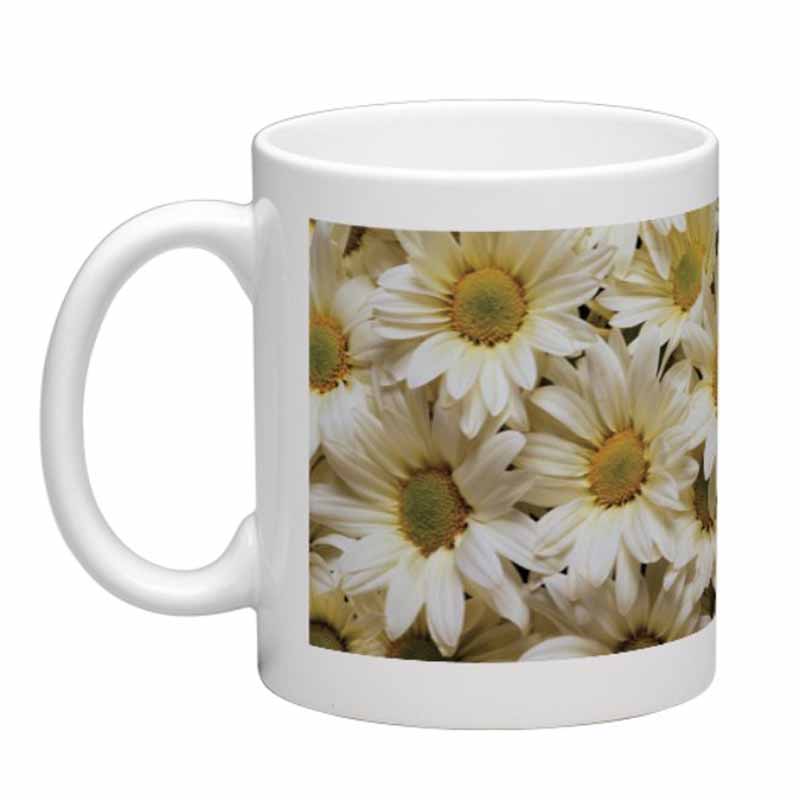 Daisies Mug