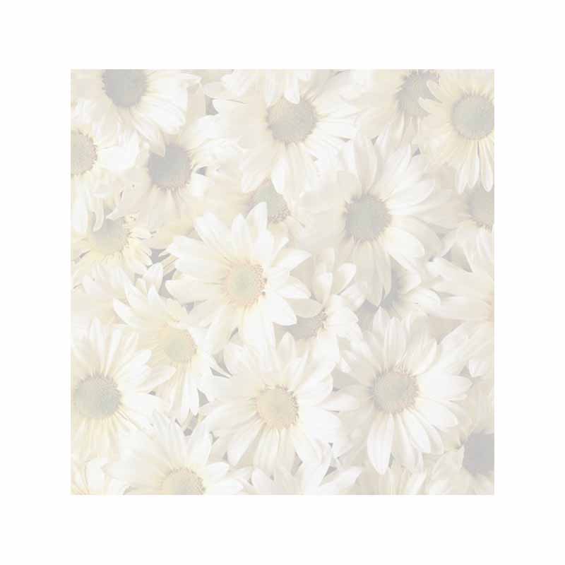 Daisies Post-It® Sticky Notes - Blank or Personalized