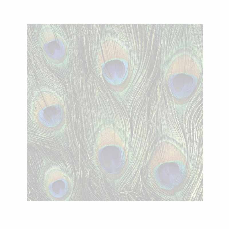 Peacock Print Post-It® Sticky Notes - Blank or Personalized