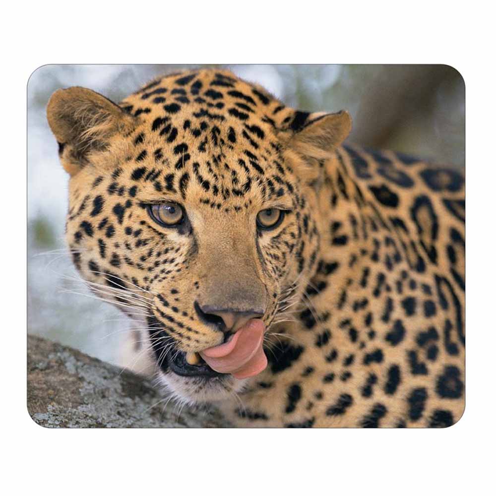 Leopard Face Mouse Pad