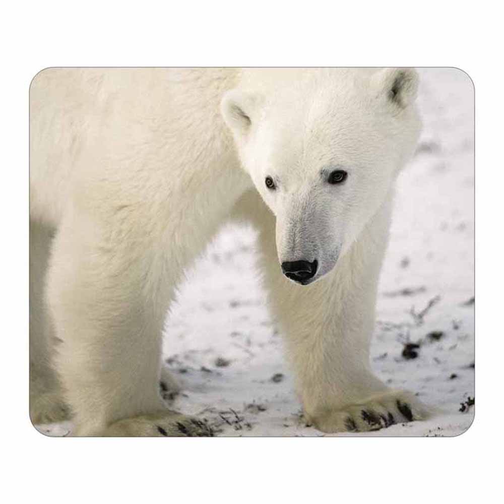 Polar Bear Mouse Pad