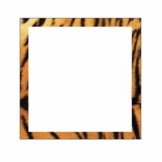 Tiger Print Border Sticky Notes