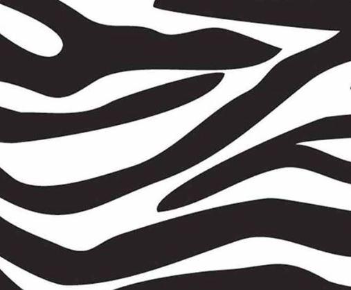 Animal Print Gifts