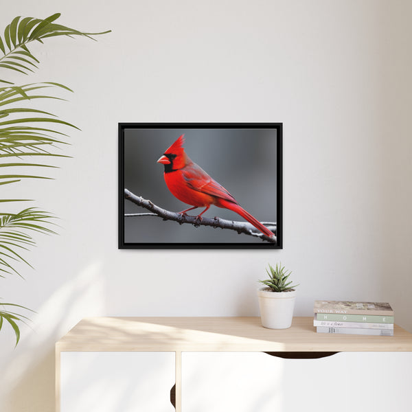 Red Cardinal Bird Matte Canvas with Black Frame