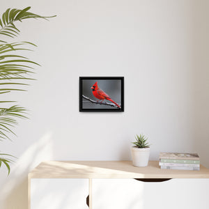 Red Cardinal Bird Matte Canvas with Black Frame