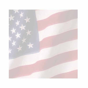 American Flag Sticky Notes