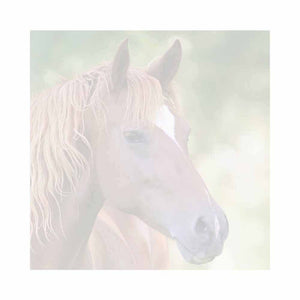 Brown Horse Sticky Notes