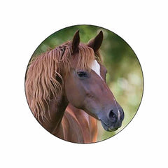 Brown Horse Stickers