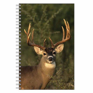 Buck Deer Journal Notebook