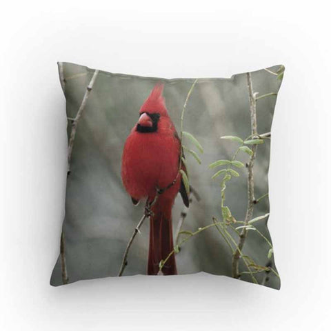 Red Cardinal Bird Pillow