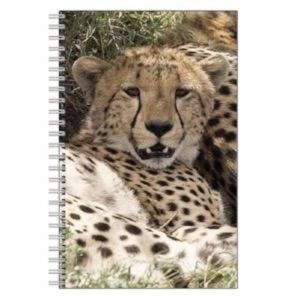 Cheetah Journal Notebook