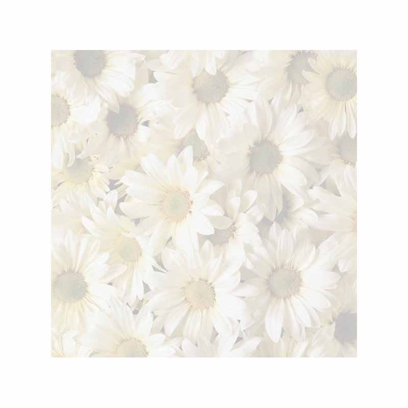 Daisies Sticky Notes - Set of 3 - Blank or Personalized