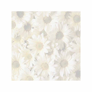 Daisies Sticky Notes - Set of 3 - Blank or Personalized