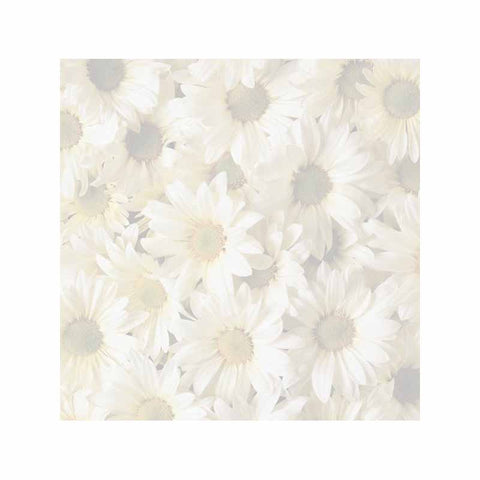 Daisies Post-It® Sticky Notes - Blank or Personalized