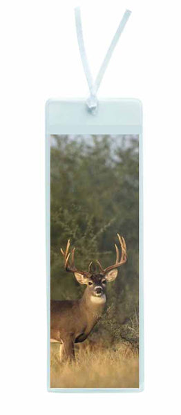 Buck Deer Bookmark