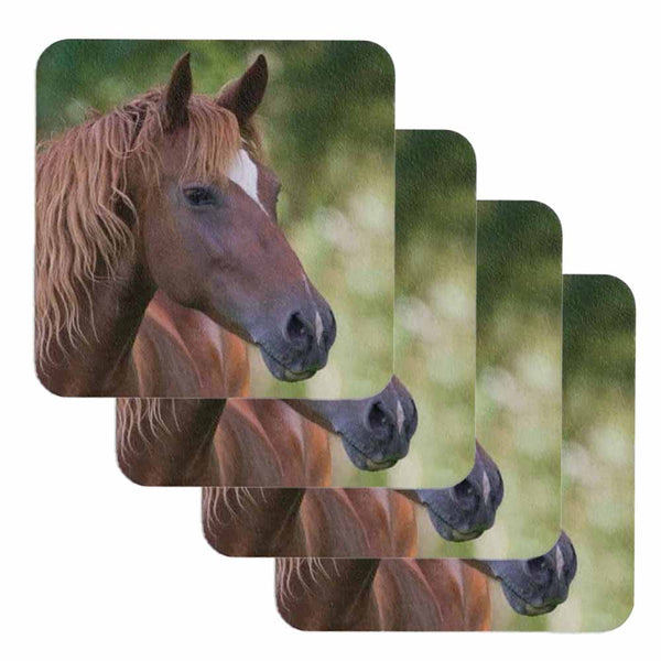 Horse Coaster Set