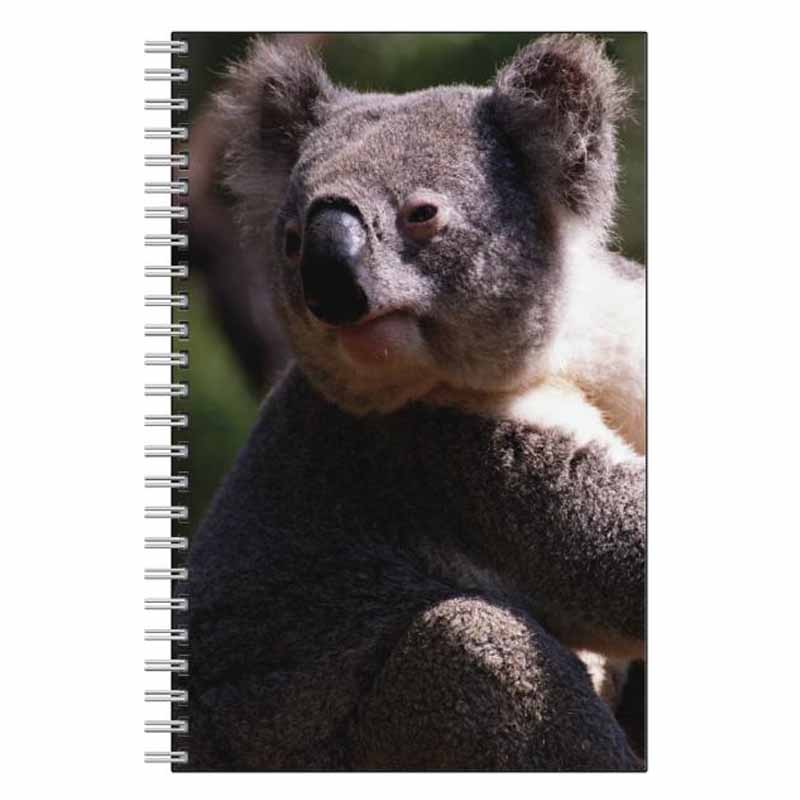 Koala Bear Journal Notebook
