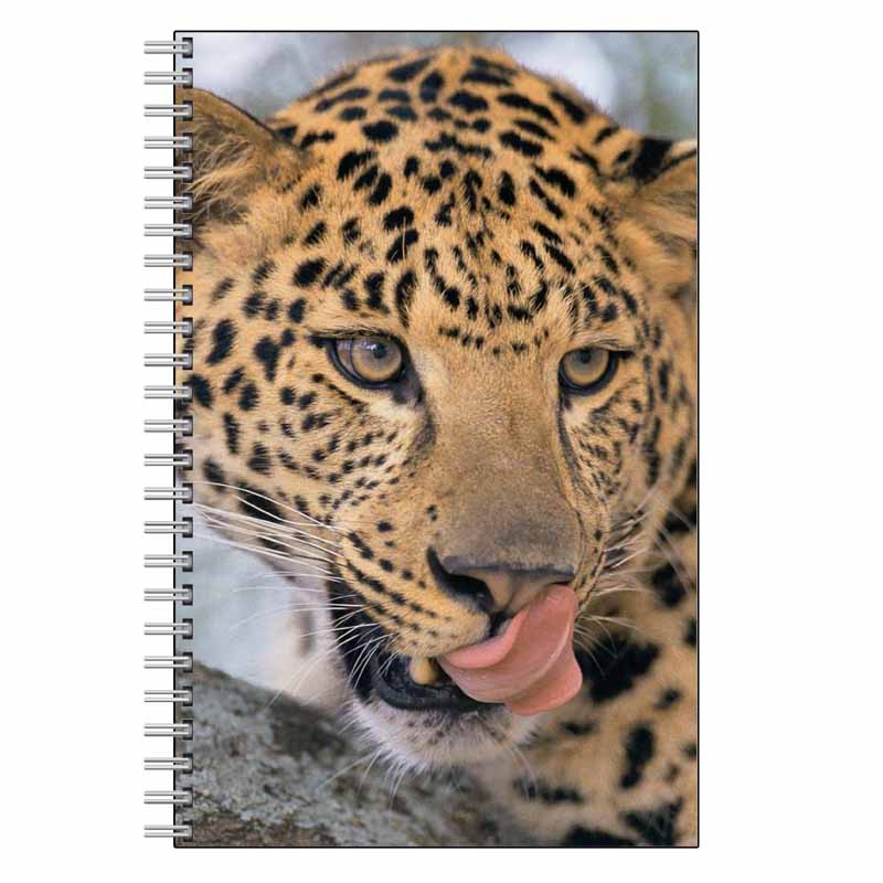 Leopard Face Journal Notebook