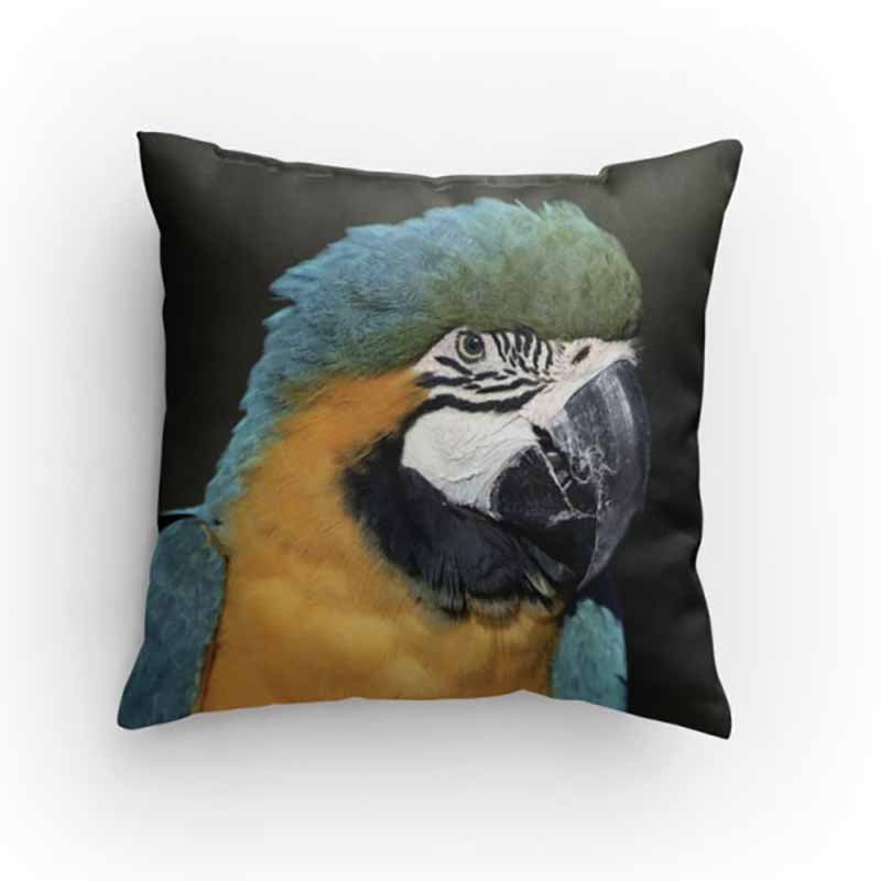 Macaw Parrot Pillow