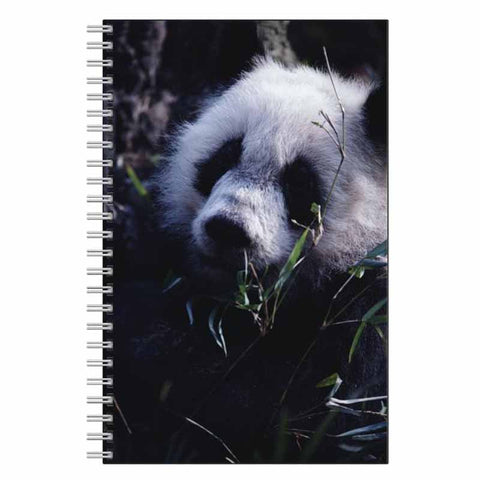 Panda Bear Journal Notebook