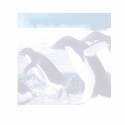 Penguins Sticky Notes