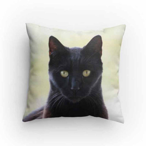 Phatty Cat Pillow