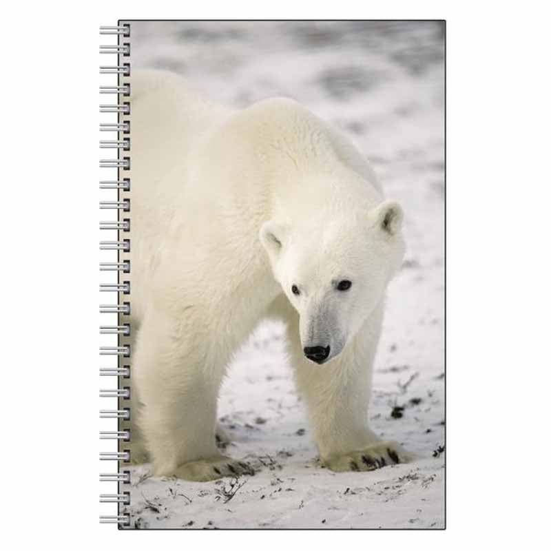 Polar Bear Journal Notebook