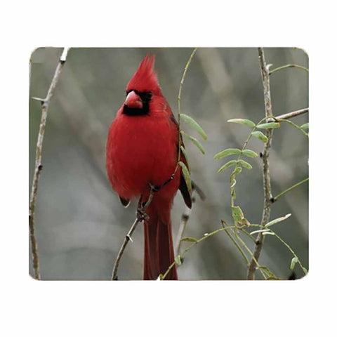 Red Cardinal Mouse Pad