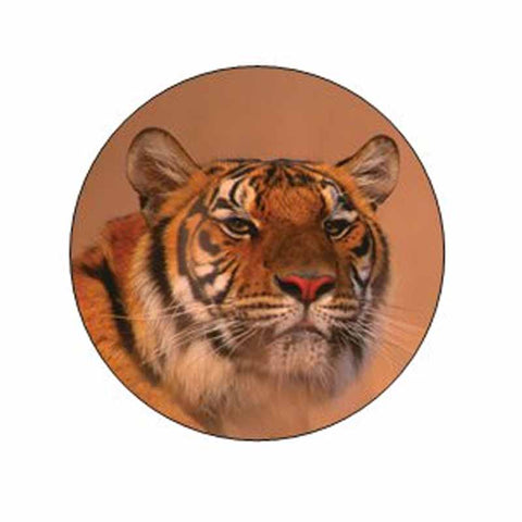 Siberian Tiger Stickers