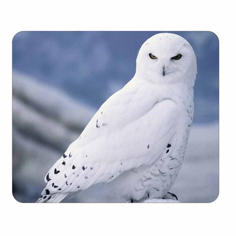 Snow Owl Mouse Pad