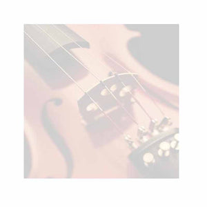 Violin Sticky Notes - Set of 3 - Blank or Personalized