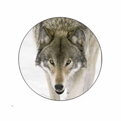 Wolf Animal Face Stickers