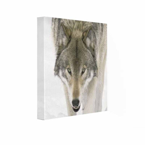 Wolf Face Wall Art Hanging