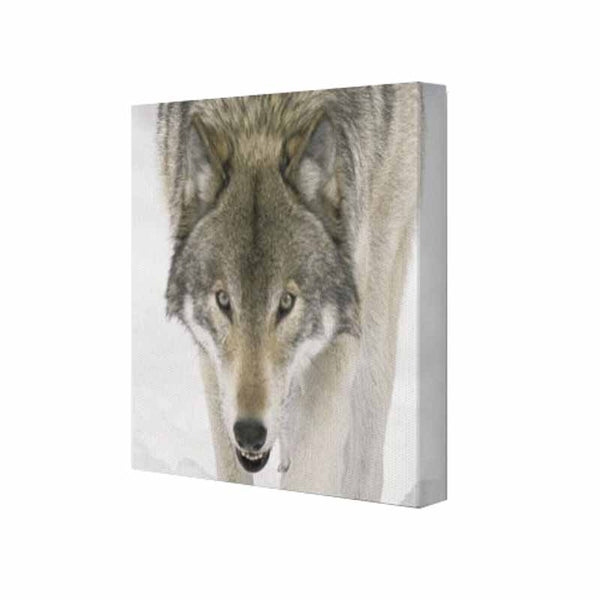 Wolf Face Wall Art Hanging