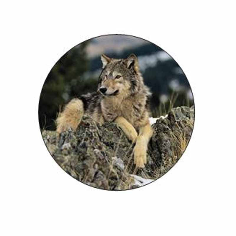 Wolf Animal on Rocks Stickers