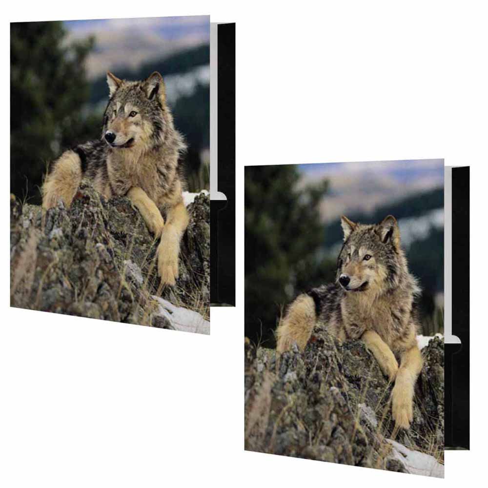 Wolf on Rocks Folder - Set of 2