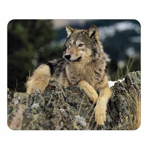Wolf on Rocks Mouse Pad